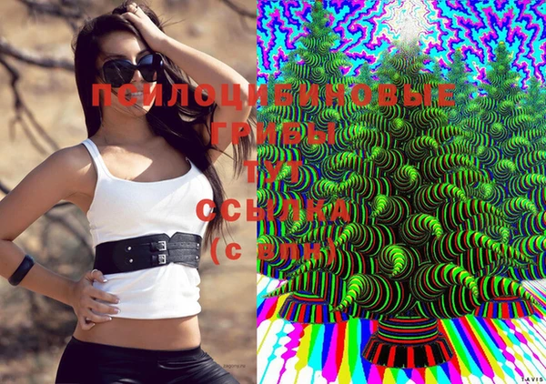 мяу мяу мука Арсеньев