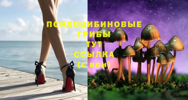 мяу мяу мука Арсеньев