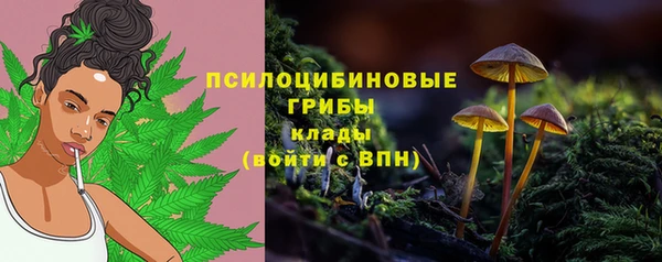 мяу мяу мука Арсеньев