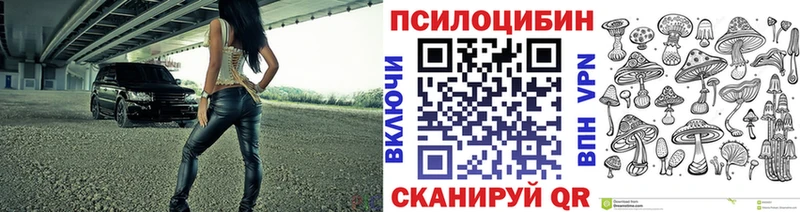 что такое   Дорогобуж  Галлюциногенные грибы Magic Shrooms 